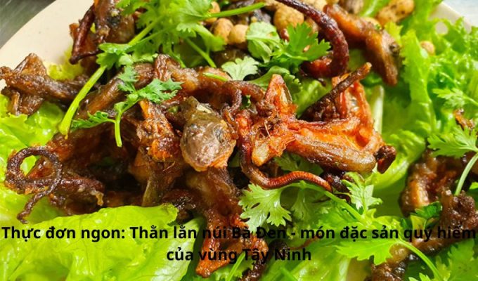 Thực đơn ngon: Thằn lằn núi Bà Đen – món đặc sản quý hiếm của vùng Tây Ninh